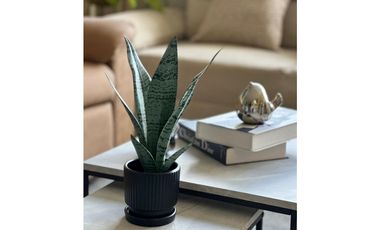 Amoblado HERMOSO Apartamento cerca a CC Arkadia