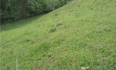 Vendo lote en bitaco la cumbre en el sector de palo alto