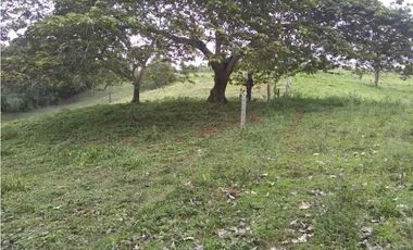 Vendo lote en bitaco la cumbre en el sector de palo alto