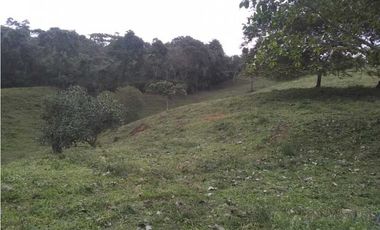 Vendo lote en bitaco la cumbre en el sector de palo alto