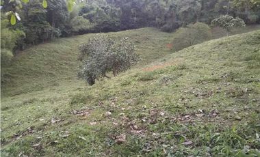 Vendo lote en bitaco la cumbre en el sector de palo alto