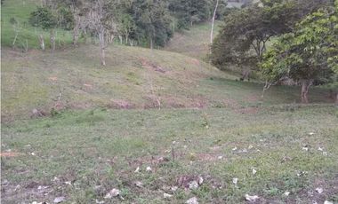 Vendo lote en bitaco la cumbre en el sector de palo alto