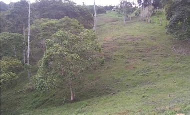 Vendo lote en bitaco la cumbre en el sector de palo alto