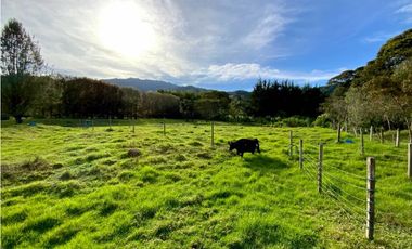 Venta Lote Parcelacion Sector Fizebad (Retiro)