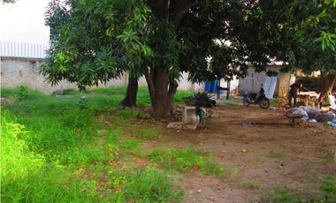Venta de amplio Lote - Santa Marta - 05