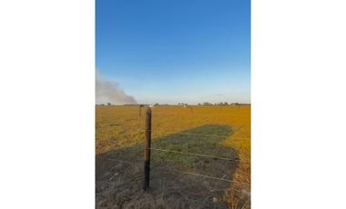 FINCA GANADERA EN VENTA - PUERTO LOPEZ ( META)