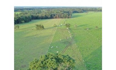 FINCA GANADERA EN VENTA - PUERTO LOPEZ ( META)