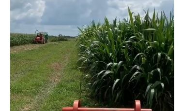 FINCA GANADERA EN VENTA - PUERTO LOPEZ ( META)