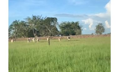 FINCA GANADERA EN VENTA - PUERTO LOPEZ ( META)