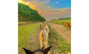 FINCA GANADERA EN VENTA - PUERTO LOPEZ ( META)