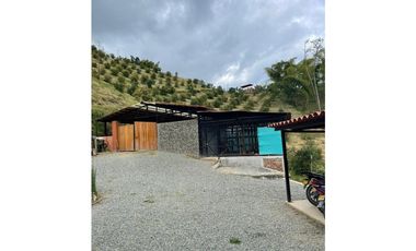 Finca productora en venta ubicada en Aránzazu Caldas
