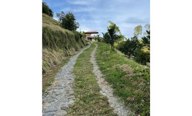 Finca productora en venta ubicada en Aránzazu Caldas