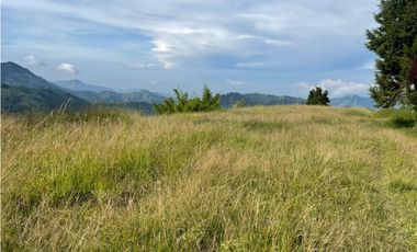 Finca productora en venta ubicada en Aránzazu Caldas