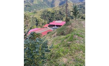 Finca productora en venta ubicada en Aránzazu Caldas