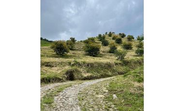 Finca productora en venta ubicada en Aránzazu Caldas