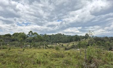 PARCELA EN VENTA EN PARCELACION LA CEIBA CAMPESTRE, POPAYN