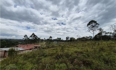 PARCELA EN VENTA EN PARCELACION LA CEIBA CAMPESTRE, POPAYN