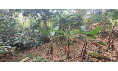 Venta de casalote de 1000 M2 en 250 mill neg, en La Mesa Cund, COL