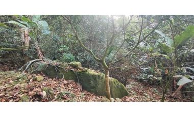 Venta de casalote de 1000 M2 en 250 mill neg, en La Mesa Cund, COL