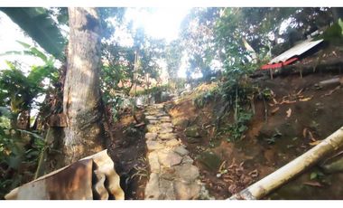 Venta de casalote de 1000 M2 en 250 mill neg, en La Mesa Cund, COL