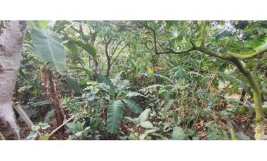 Venta de casalote de 1000 M2 en 250 mill neg, en La Mesa Cund, COL