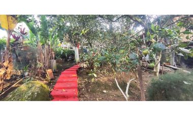 Venta de casalote de 1000 M2 en 250 mill neg, en La Mesa Cund, COL