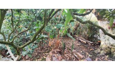 Venta de casalote de 1000 M2 en 250 mill neg, en La Mesa Cund, COL