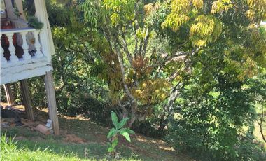 Finca en la pintada (Damasco)