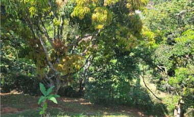Finca en la pintada (Damasco)