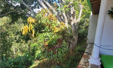 Finca en la pintada (Damasco)