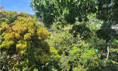 Finca en la pintada (Damasco)