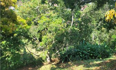 Finca en la pintada (Damasco)