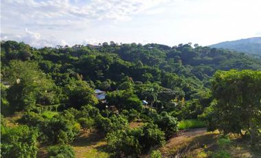 Se Arrienda Apartamento Campestre en Anapoima