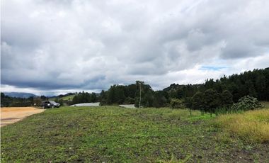 LOTE  EN EL SECTOR DE PANTANILLO CON HERMOSA VISTA RODEADO DE BOSQUE