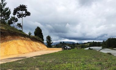LOTE  EN EL SECTOR DE PANTANILLO CON HERMOSA VISTA RODEADO DE BOSQUE