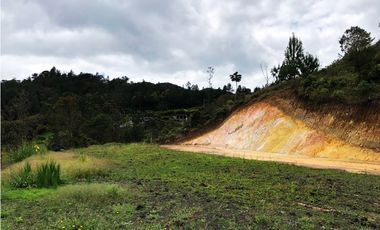 LOTE  EN EL SECTOR DE PANTANILLO CON HERMOSA VISTA RODEADO DE BOSQUE