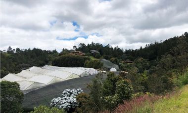 LOTE  EN EL SECTOR DE PANTANILLO CON HERMOSA VISTA RODEADO DE BOSQUE
