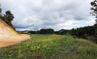 LOTE  EN EL SECTOR DE PANTANILLO CON HERMOSA VISTA RODEADO DE BOSQUE