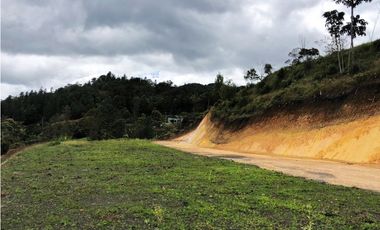 LOTE  EN EL SECTOR DE PANTANILLO CON HERMOSA VISTA RODEADO DE BOSQUE