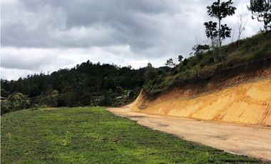 LOTE  EN EL SECTOR DE PANTANILLO CON HERMOSA VISTA RODEADO DE BOSQUE