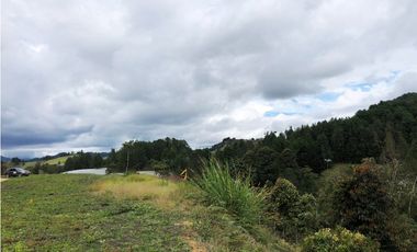 LOTE  EN EL SECTOR DE PANTANILLO CON HERMOSA VISTA RODEADO DE BOSQUE