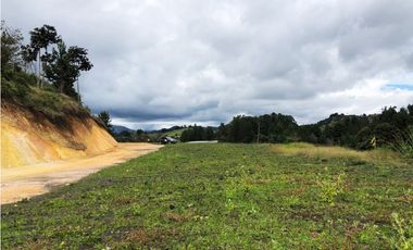 LOTE  EN EL SECTOR DE PANTANILLO CON HERMOSA VISTA RODEADO DE BOSQUE