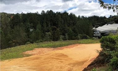 Lote campestre en venta en Pantanillo – 6.200 m² con explanaciones