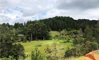 Lote campestre en venta en Pantanillo – 6.200 m² con explanaciones