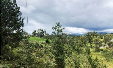 Lote campestre en venta en Pantanillo – 6.200 m² con explanaciones
