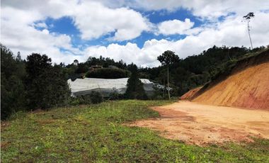 Lote campestre en venta en Pantanillo – 6.200 m² con explanaciones