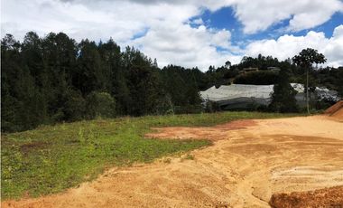 Lote campestre en venta en Pantanillo – 6.200 m² con explanaciones