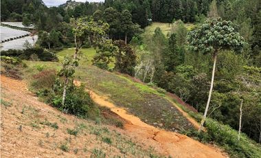 Lote campestre en venta en Pantanillo – 6.200 m² con explanaciones