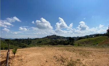 Vereda  de lonte en San vicente vereda Santa Rita 