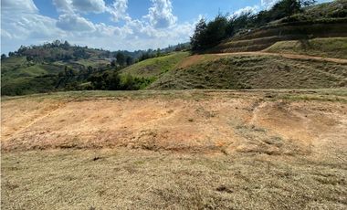 Vereda  de lonte en San vicente vereda Santa Rita 